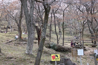 f0106664_6583693.jpg