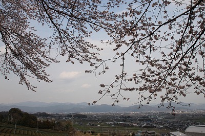 f0106664_6593490.jpg