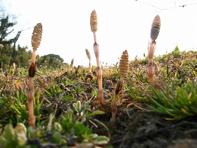d0128465_7394940.jpg