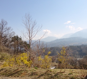 d0152765_19244048.jpg