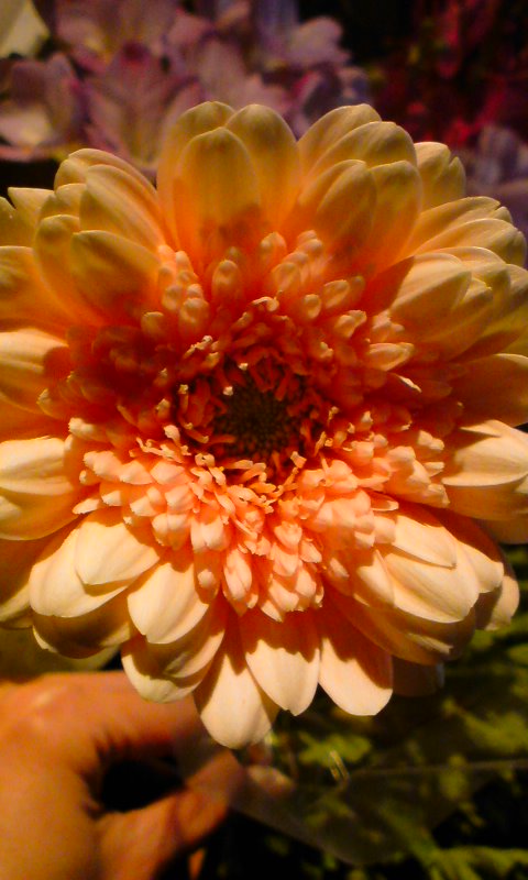 f0220768_1840754.jpg