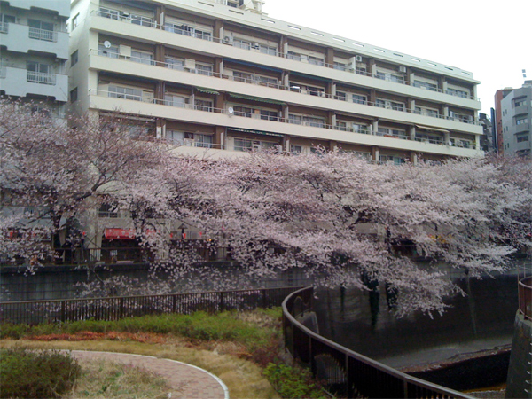 a0171370_1425256.jpg