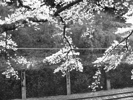 f0175875_1910888.jpg