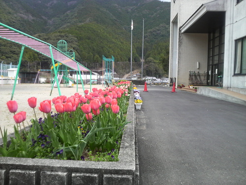 b0205079_1433227.jpg