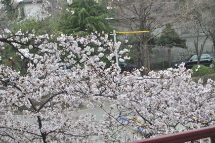 a0036780_23261149.jpg