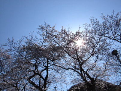 f0039281_828492.jpg