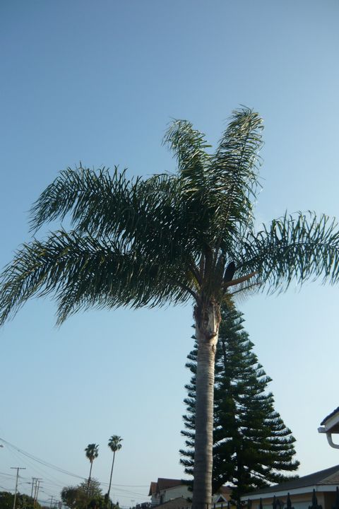 b0202185_0335931.jpg