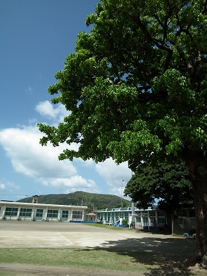 e0028387_084999.jpg