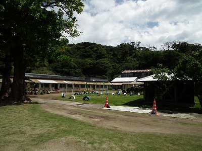 e0028387_09241.jpg
