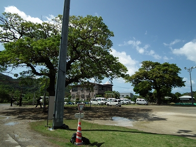 e0028387_094088.jpg