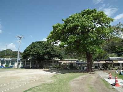 e0028387_09654.jpg