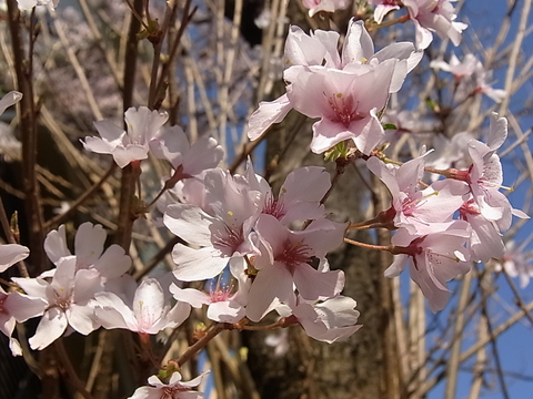 c0122788_327020.jpg