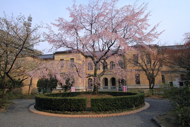 e0051888_11392915.jpg