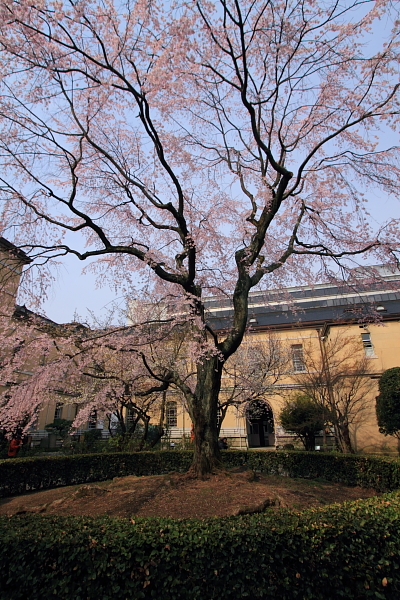 e0051888_1139575.jpg
