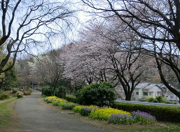 e0023790_2130681.jpg