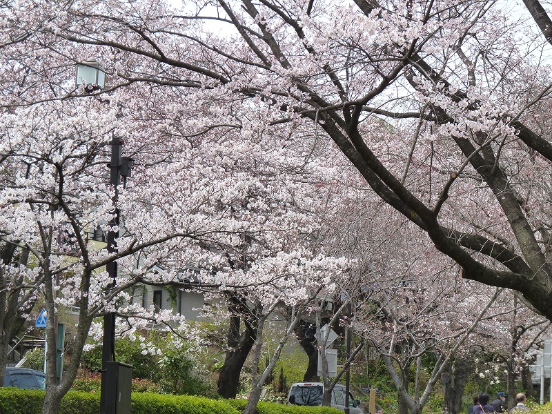 e0023790_214824100.jpg