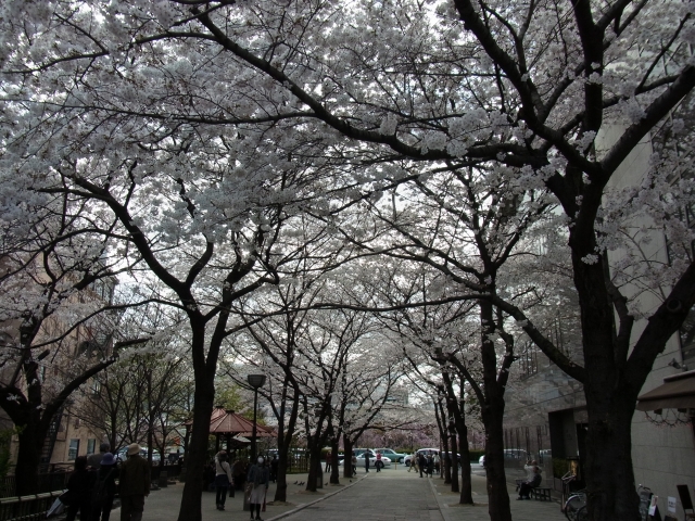 e0152493_2293181.jpg