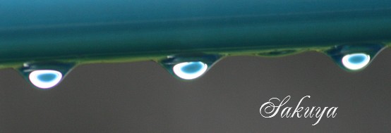 e0122194_18281578.jpg