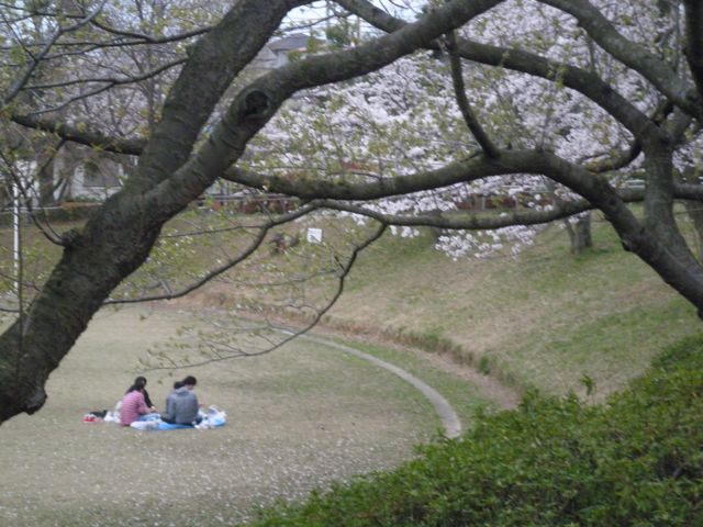 f0130894_1752124.jpg