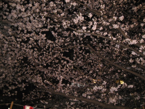 d0157596_2339811.jpg