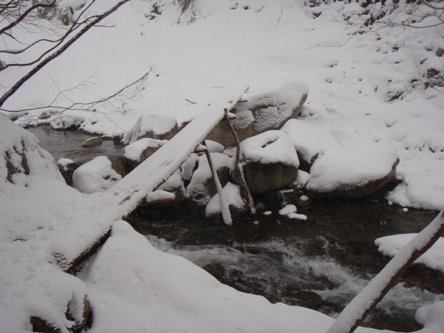 b0039898_17261979.jpg