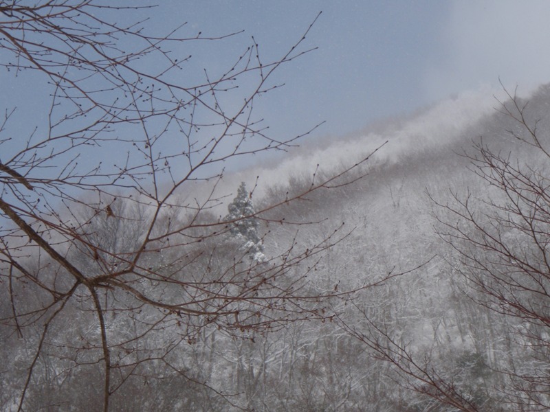 b0039898_17461664.jpg