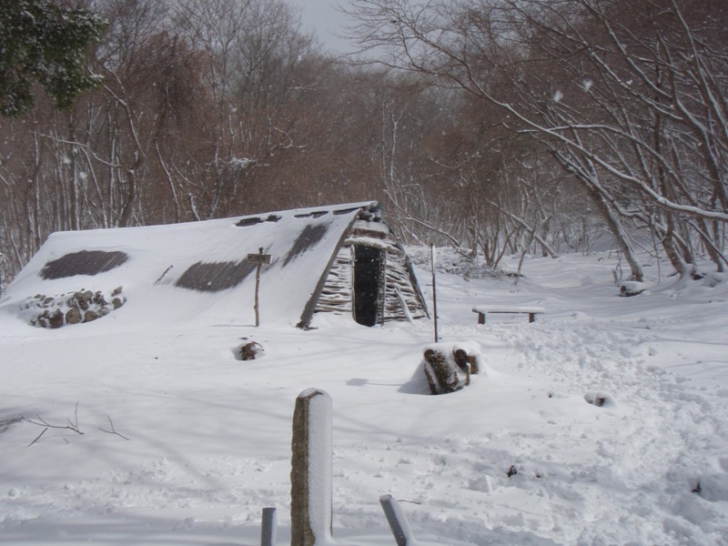 b0039898_17463599.jpg