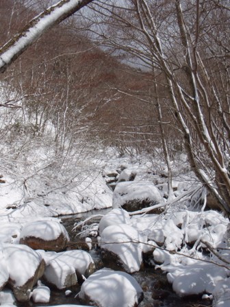 b0039898_1747154.jpg
