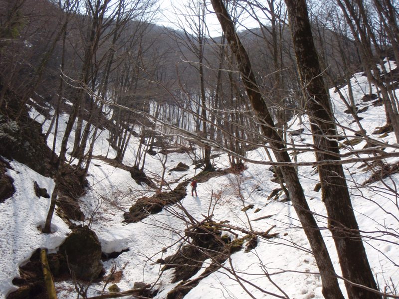 b0039898_18172021.jpg