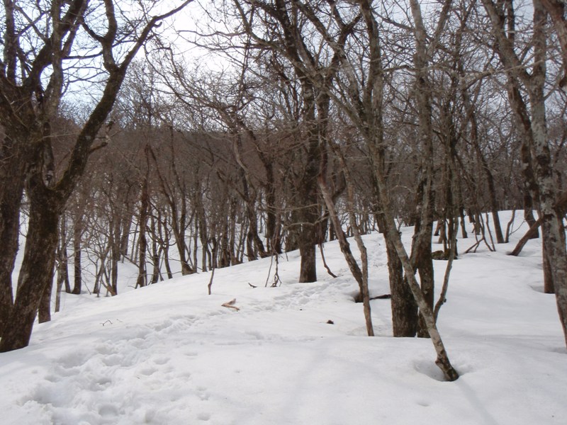 b0039898_18173816.jpg