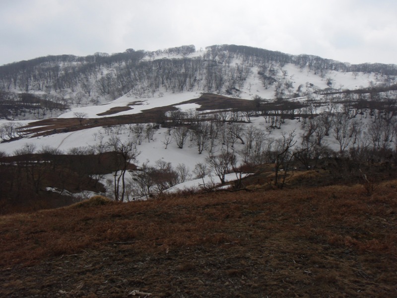 b0039898_181857100.jpg