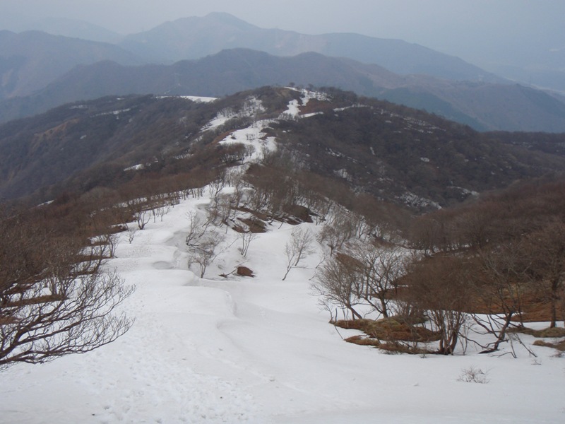 b0039898_18191670.jpg