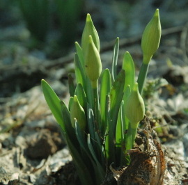 c0125899_2292561.jpg