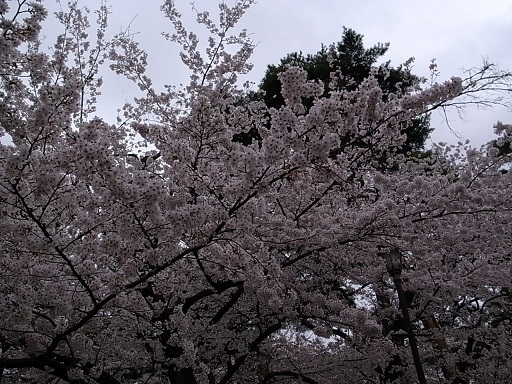 e0043700_2293211.jpg