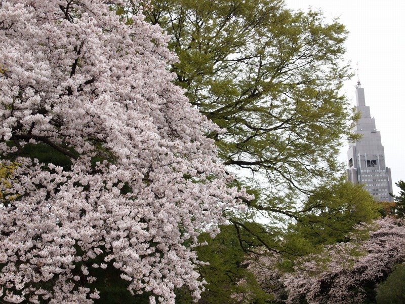 f0224100_23171378.jpg