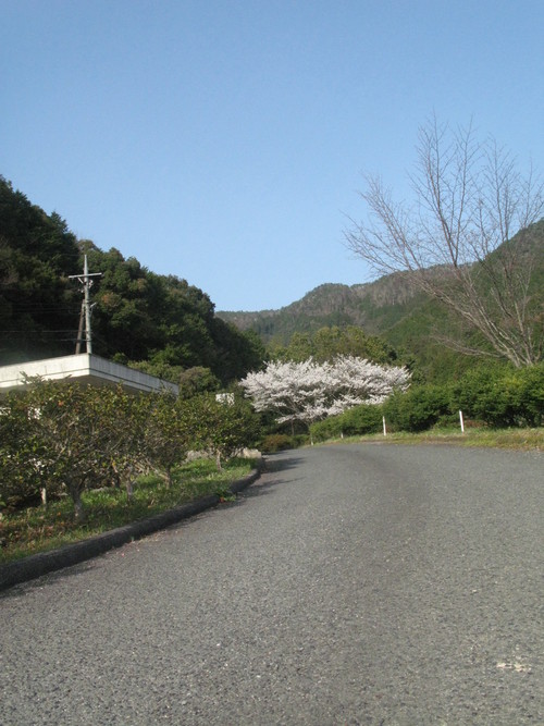 a0166601_22131378.jpg