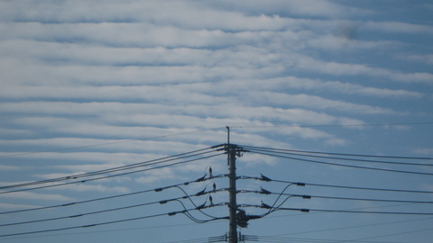 f0146802_15521163.jpg