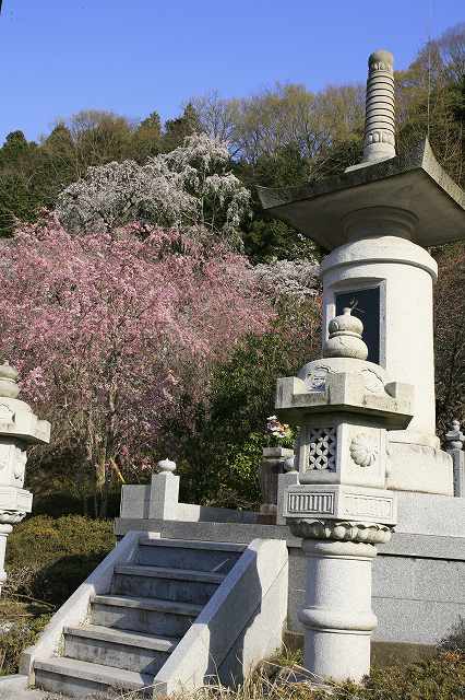 a0188405_20323441.jpg