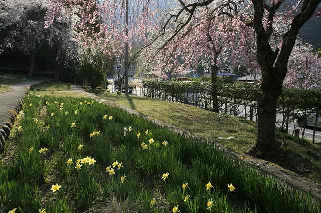 a0188405_20324224.jpg