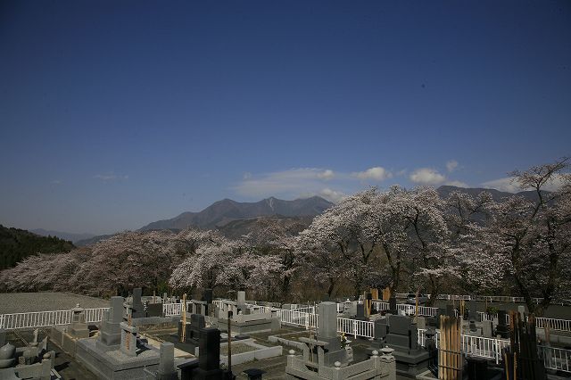 a0188405_8545765.jpg