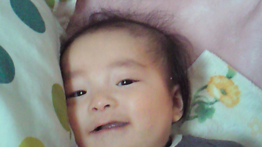 d0149105_558315.jpg