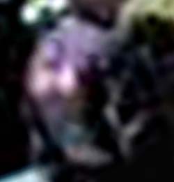 e0103408_16523876.jpg