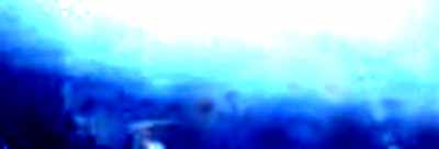 e0103408_623927.jpg
