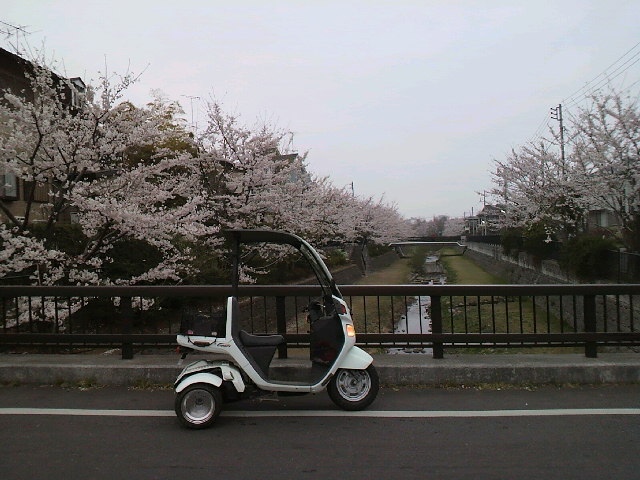 f0127408_22393241.jpg