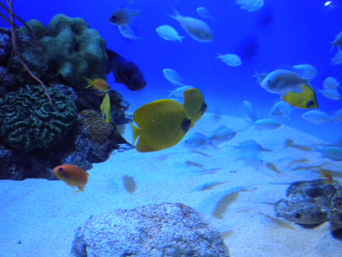 a0159009_2014070.jpg