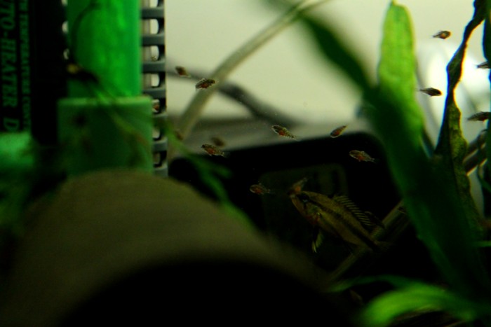 f0215410_23172256.jpg