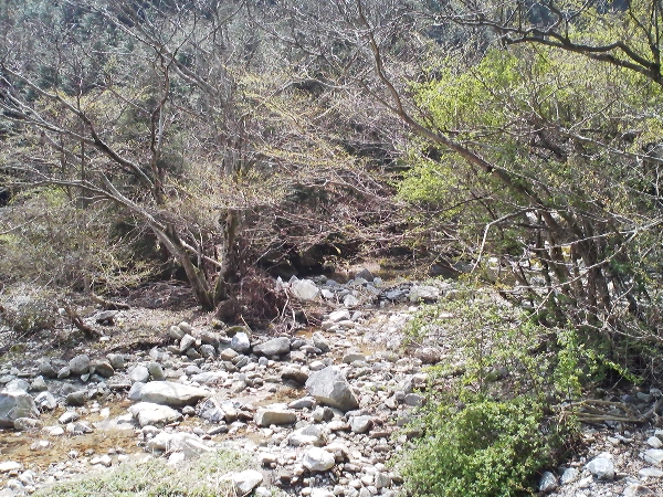 e0002314_22101643.jpg
