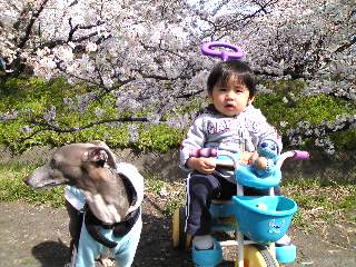 c0003217_152174.jpg