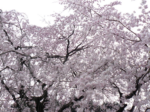 f0004019_12101379.jpg