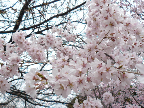 f0004019_12143721.jpg